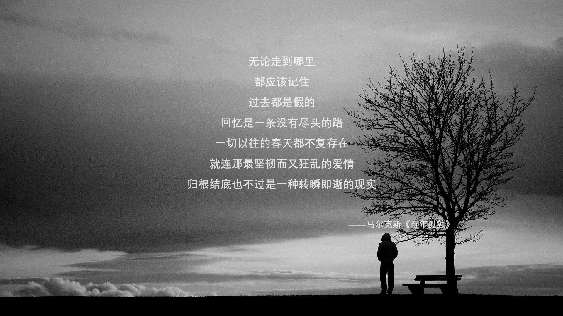 _NBA季前赛:新秀表现令人期待_,nba季前赛新规则