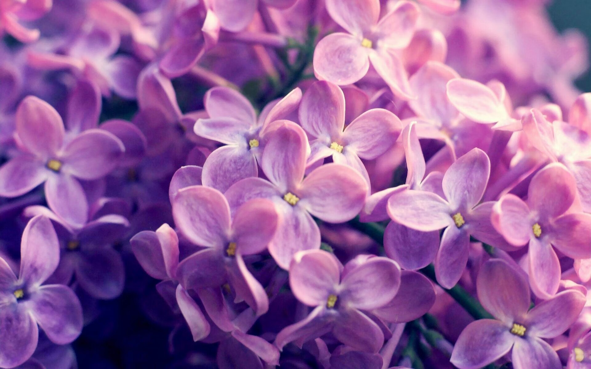 _VR体育体验:虚拟世界中的运动乐趣_,vr体育项目