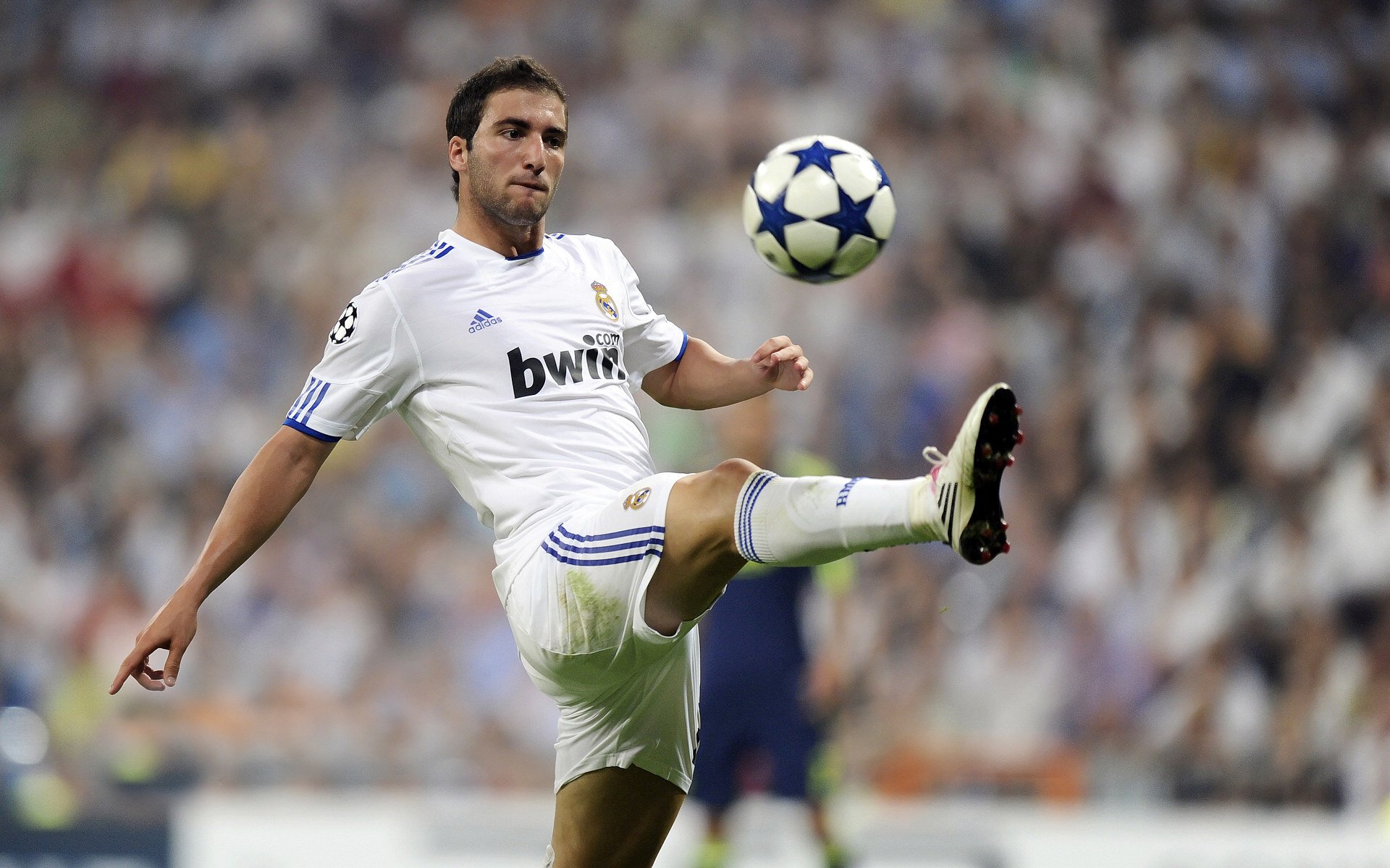 “费尔南多·比亚尔巴在阿根廷美洲狮队中的决定性角色”